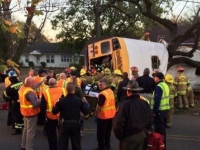 В американском штате Теннесси шестеро детей погибли и 23 ранены в результате аварии школьного автобуса