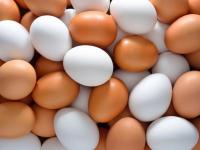Зараженные опасным ядом яйца обнаружились в Восточной Европе