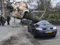 Шторм вызвал хаос в Германии и Нидерландах (видео)