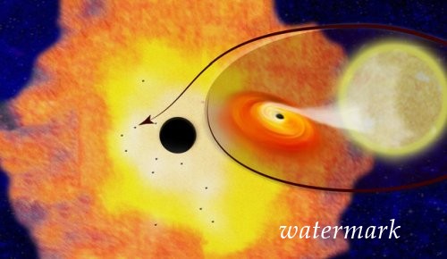Двоичная система звезда-черная дыра