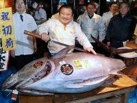 В Японии огромного тунца продали на аукционе за 636 тысяч долларов