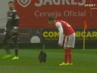 Черная курица помешала проведению матча чемпионата Португалии по футболу