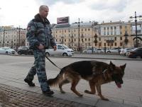 В Санкт-Петербурге в многоэтажке обезврежено взрывное устройство
