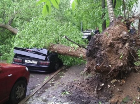 Ураганный ветер стал причиной гибели 11 человек в Москве (фото)