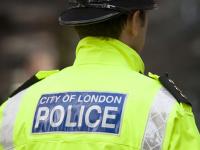 В Лондоне по подозрению в подготовке теракта задержаны три девушки