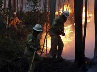Лесные пожары в Португалии: погибли уже 62 человека (обновлено)