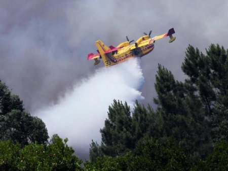 При тушении лесных пожаров в Португалии разбился французский самолет