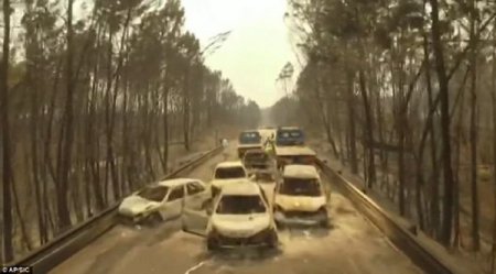 В Португалии 12 человек выжили во время лесного пожара, прячась более шести часов в баке с водой (фото, видео)