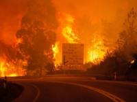 В Португалии 16 человек сгорели в собственных автомобилях, оказавшись в зоне лесного пожара