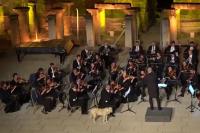 Флегматичная собака, которая забрела на сцену во время выступления оркестра, стала звездой шоу и соцсетей (видео)