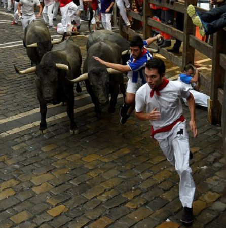 На фестивале в Памплоне быки подняли на рога двух туристов (фото, видео)