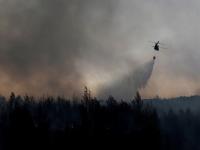 Афины просят Евросоюз оказать помощь в борьбе с лесными пожарами
