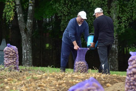 Президент Беларуси посвятил день копанию картошки (фото)