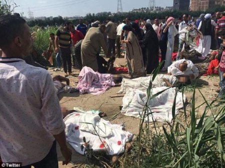 При столкновении двух поездов в Египте погибли 36 человек (фото, видео)
