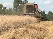 Аграрии сконцентрировали более 38 млн тонн зерна / Новости / Finance.UA