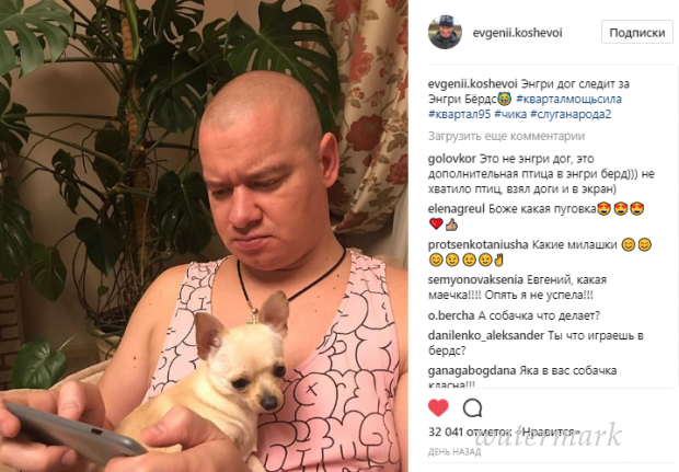 Евгений Кошевой показал своего забавного члена семьи