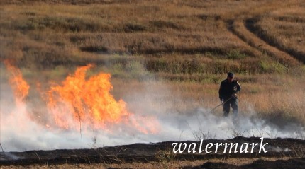 Крымские пожарные не впустили жар к поселку [фото]