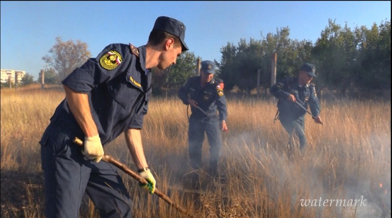 Крымские пожарные не впустили жар к поселку [фото]