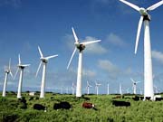 По всему миру вкалывает уже 341 000 ветровых турбин / Новости / Finance.UA