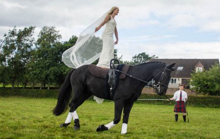 Чемпионка мира по конному спорту исполняла акробатические трюки на своей собственной свадьбе (фото)
