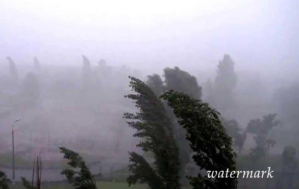 Ураган в Закарпатье: убытки на десятки миллионов