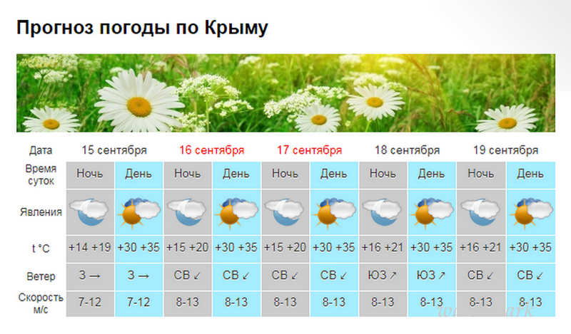 В Крыму на выходных ожидается жар до +35 [прогноз погоды]