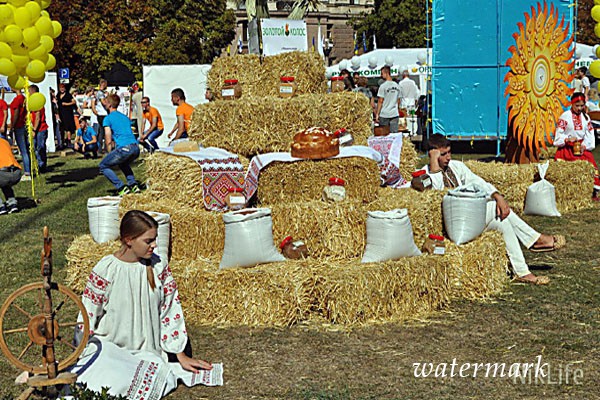 В Николаеве Девай города отметили «цветным» забегом, 40 свадьбами и «парадом карапузов»(фото, видео)