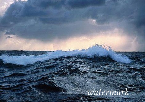 В штормящем море у берегов Крыма затонула рыбацкая лодка