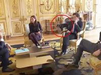 Пес президента Франции помочился в камин во время совещания своего хозяина с министрами (видео)
