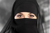 В Австрии запретили носить в общественных местах паранджу, медицинские и карнавальные маски, балаклавы и закрывающие лица шарфы