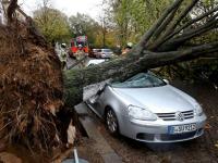 В Польше и Чехии в результате урагана погибли четыре человека