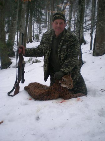 На Закарпатье лесничий убил краснокнижную рысь и хвастался фото в соцсетях (фото 18+)