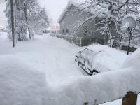 В Пенсильвании выпало рекордное за 60 лет количество снега