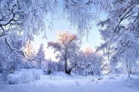 Андрей Демиденко: “Ой пішла зима в танок, вітром дунула в ріжок...”