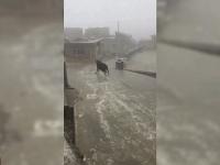 В Китае сняли наглядную иллюстрацию к выражению «как корова на льду» (видео)