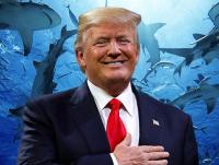 Люди жертвуют деньги акулам, чтобы расстроить Трампа