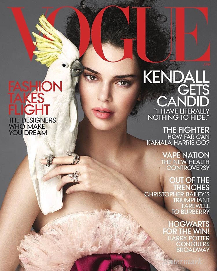 Кендалл Дженнер украсила обложку Vogue US